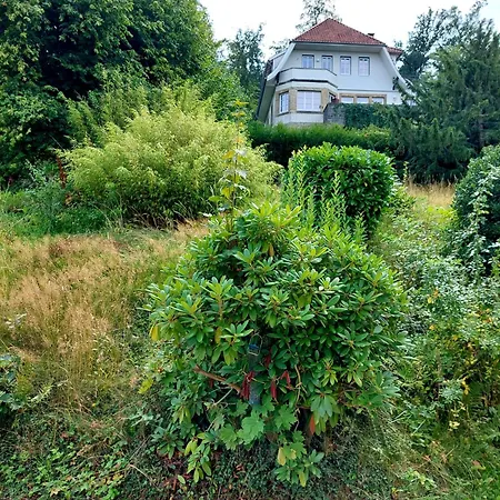 Panoramablick * Bad Harzburg
